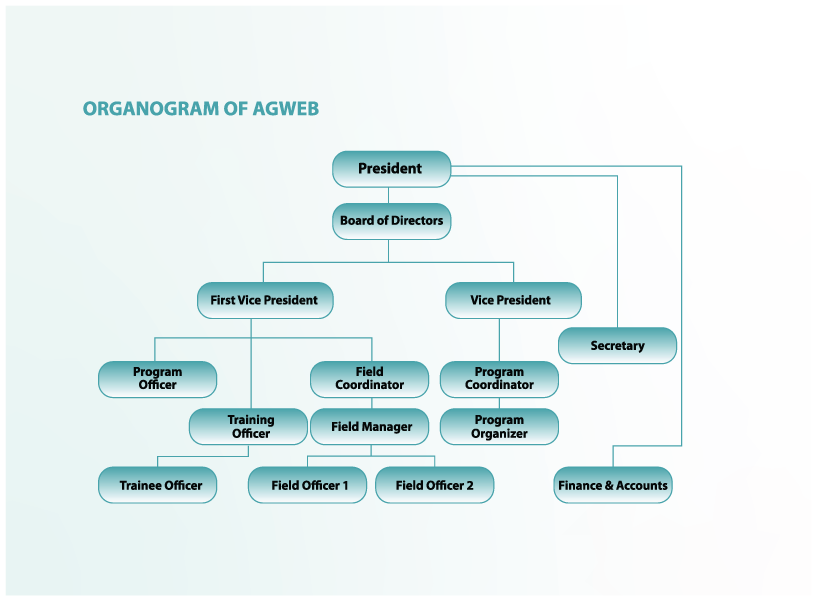 organogram